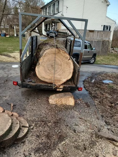 Got a solid deal on 2 big trees that were down from a storm, and to cut down a smaller tree that was damaged