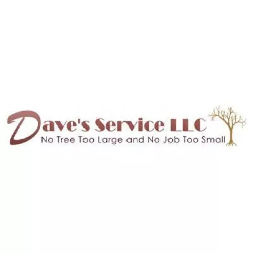 Excellent service. Showed up very quickly and priced fairly. Great experience, will be using Dave again. 