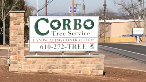 We are so grateful to have reached out to Pete at Corbo Tree & Landscaping