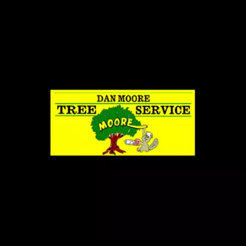 We’ve used Dan Moore to take down a number of trees on our property over the past several years
