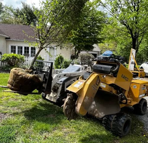 Excellent stump grinding services! Love that they are local to Blue Bell