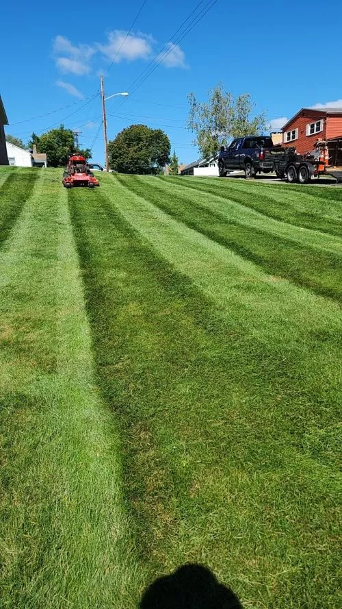 Thanks for a nice job on the lawn. Keep up the good work. Another great job by Husky Property Management