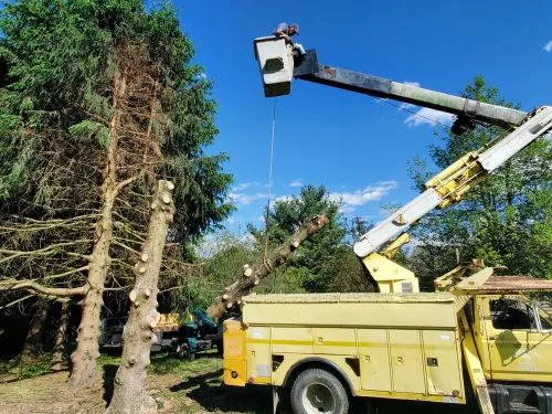 Eric was fast to respond to getting out and giving me a quote on removing a huge pine tree that was around my electric