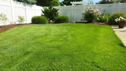 They do a wide range of outside outstanding Projects you might have they replaced all my sod, planted a privacy fence ,