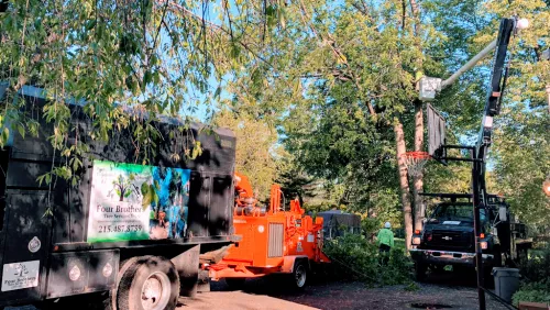 We recently used Four Brothers to remove 15 large (85 ft and up!) spruce trees from our rear property line, which they