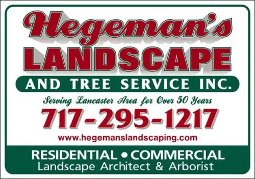 Me Hegeman and his crew are very professional and excellent in all that they do
