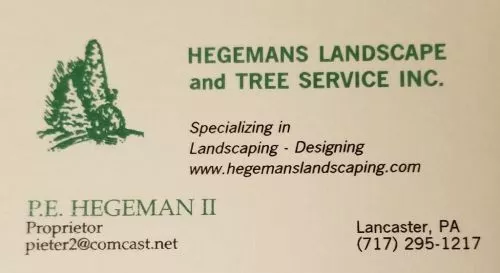 I used this service to remove two trees and shape several others