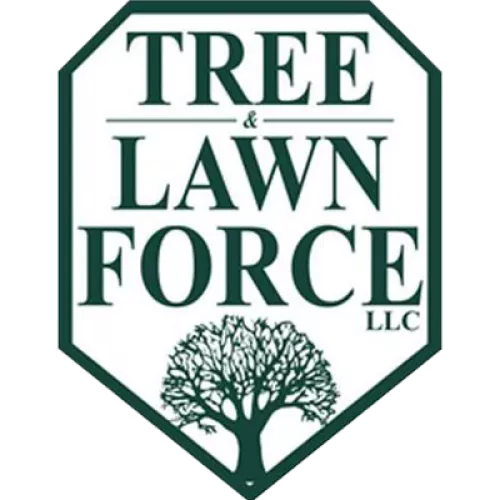 Great service! Lawn care is detailed and professional. 