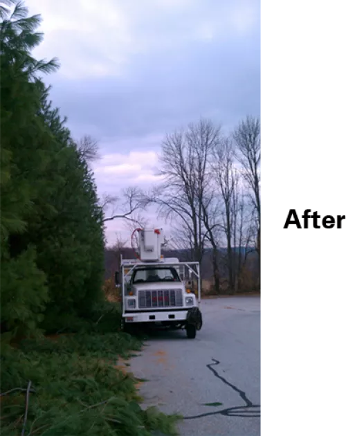 Had Matt and his team out to do a big job for us — 8 trees down