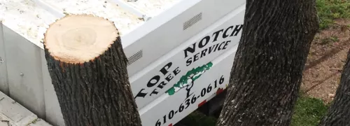 I reached out to Top Notch Tree Service for an emergency at 5:15am, expecting to leave a message that our young cat was