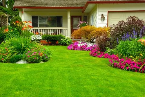 I highly recommend Jason Ottinger Landscaping. Our lawn is the best on the block! He is always neat and very professional